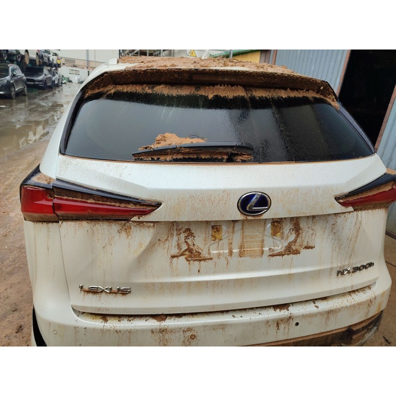 Recambio de porton trasero para lexus nx (_z1_) 300h awd (ayz15) referencia OEM IAM 6700578050  
