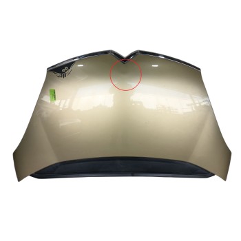 CAPOT 7901N7 