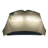Recambio de capot para citroën c4 grand picasso i (ua_) 1.6 hdi referencia OEM IAM 7901N7  