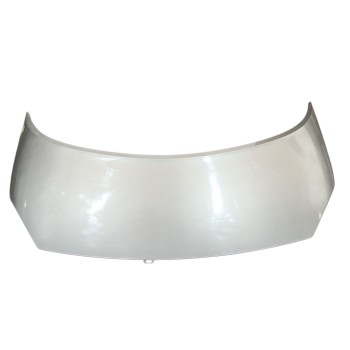 CAPOT DELANTERO 651001097R 