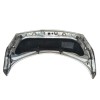 Recambio de capot delantero para renault grand scénic ii (jm0/1_) 1.9 dci (jm14) referencia OEM IAM 651001097R  