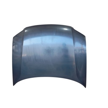 CAPOT DELANTERO 3B0823031K 