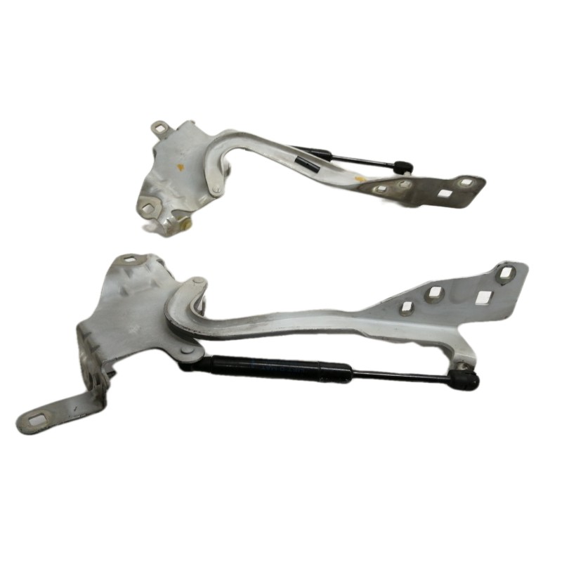 Recambio de amortiguadores capo para renault scenic iii dynamique referencia OEM IAM 654700008R  