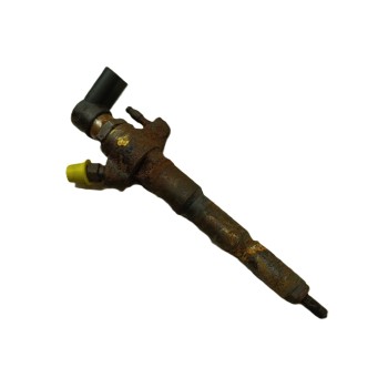 INYECTOR 166093282R HMLGT5164R 