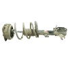 Recambio de amortiguador delantero izquierdo para renault clio iii confort dynamique referencia OEM IAM 333744  