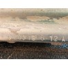 Recambio de cinturon seguridad trasero derecho para tesla model 3 ev awd referencia OEM IAM 111015401F 655391500A 
