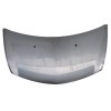Recambio de capot para renault clio iii exception 2 referencia OEM IAM   