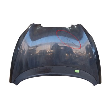 CAPOT DELANTERO 5P0823031C 