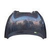 Recambio de capot delantero para seat altea (5p1) 1.9 tdi referencia OEM IAM 5P0823031C  