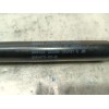 Recambio de amortiguadores capo para tesla model 3 (5yj3) referencia OEM IAM 109147200B 109147200B 