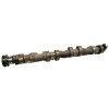Recambio de arbol de levas para bmw serie 3 berlina (e46) 318i referencia OEM IAM 7500930  