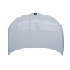 Recambio de capot para skoda fabia iii (nj3) 1.2 tsi referencia OEM IAM 6V0823031B  