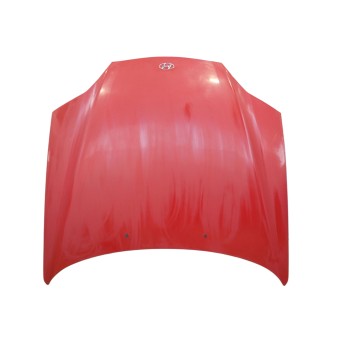 CAPOT DELANTERO 664002C020 