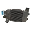 Recambio de intercooler para nissan patrol gr v wagon (y61) 3.0 dti referencia OEM IAM 14461VC106 D2110A08 