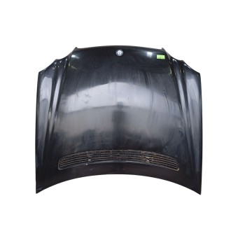 CAPOT DELANTERO 209880005728 