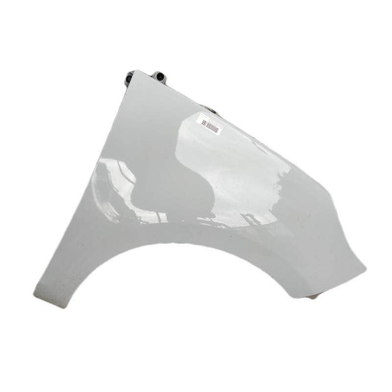 Recambio de aleta delantera derecha para renault scenic iii dynamique referencia OEM IAM   