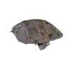 Recambio de faro izquierdo para renault kangoo (kc0/1_) 1.5 dci (kc07) referencia OEM IAM 8200236590 89008441 