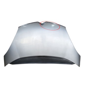 CAPOT DELANTERO 7901N7 
