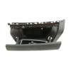 Recambio de guantera para renault scenic iii dynamique referencia OEM IAM 1019203001  