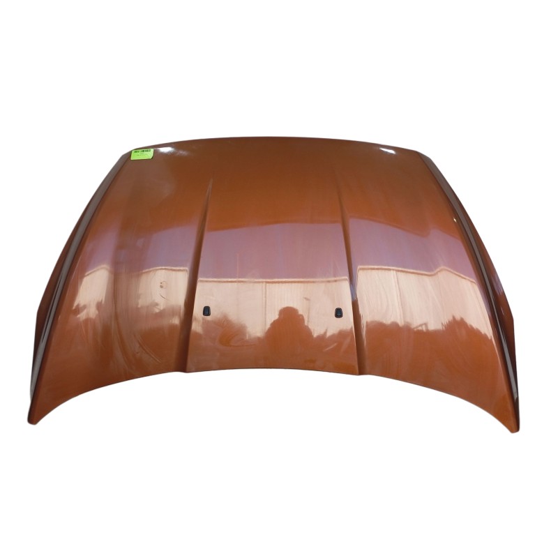 Recambio de capot para ford ka+ iii (uk, fk) 1.2 ti-vct referencia OEM IAM 2089494  