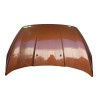Recambio de capot para ford ka+ iii (uk, fk) 1.2 ti-vct referencia OEM IAM 2089494  