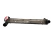 Recambio de intercooler para renault scenic iii dynamique referencia OEM IAM 144960006R  