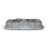 Recambio de luz interior para renault scenic iii dynamique referencia OEM IAM 264300008R  