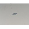 Recambio de capot para opel zafira / zafira family b (a05) 1.9 cdti (m75) referencia OEM IAM 93184414  