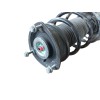 Recambio de amortiguador delantero derecho para volkswagen golf 1.5 etsi mhev referencia OEM IAM 5WA413023R 5WA413023R 