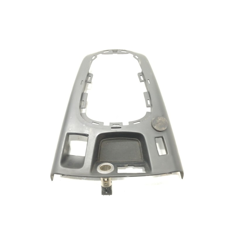 Recambio de moldura para renault scenic iii dynamique referencia OEM IAM 1019172  