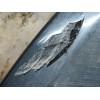 Recambio de aletin delantero izquierdo para audi q2 (gab, gag) 1.6 tdi referencia OEM IAM 81A853717AGRU 81A853717AX7L 