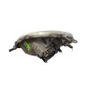 Recambio de faro derecho para toyota yaris (_p1_) 1.0 (scp10_) referencia OEM IAM 811300D011 89006861 