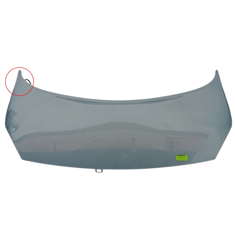 Recambio de capot para renault scénic ii (jm0/1_) 1.5 dci (jm1e, jm16) referencia OEM IAM 7751474289  