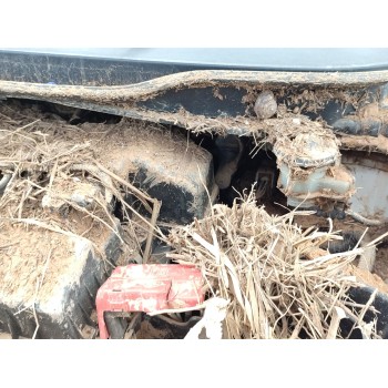 SERVOFRENO 
