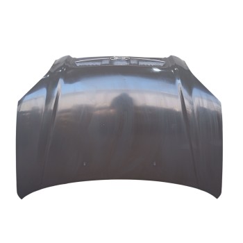CAPOT DELANTERO 664002E020 