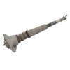 Recambio de amortiguador trasero derecho para volkswagen polo (9n3) advance referencia OEM IAM 6Q0513025BL  