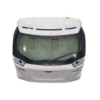 PORTON TRASERO 67005F4020 