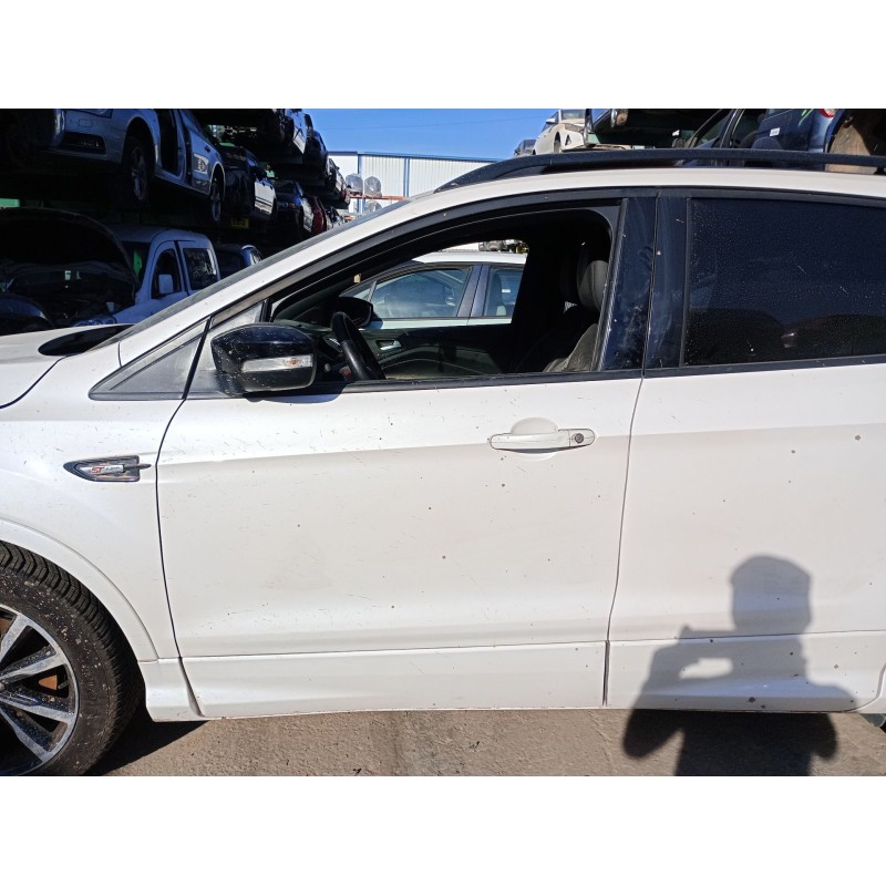 Recambio de puerta delantera izquierda para ford kuga ii (dm2) 2.0 tdci referencia OEM IAM 2420515  