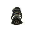 Recambio de amortiguador delantero izquierdo para ford kuga (cbv) titanium referencia OEM IAM 1570026 E5615302 