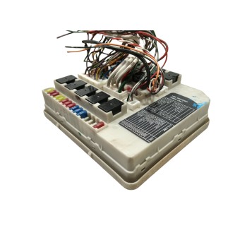 CAJA RELES / FUSIBLES 1231723J31 