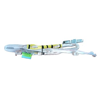 AIRBAG CORTINA DELANTERO DERECHO 2GA880742F 309436720AE 