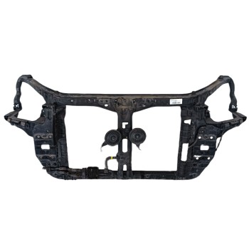 PANEL FRONTAL 641011D000 641011D000 