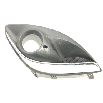REJILLA PARAGOLPES IZQUIERDA 13286025 475498858