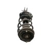 Recambio de amortiguador delantero derecho para renault laguna ii (bg0) authentique referencia OEM IAM 8200237374A  