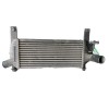 Recambio de intercooler para nissan pathfinder (r51) 2.5 dci le referencia OEM IAM F6864  