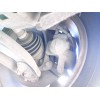 Recambio de pinza freno delantera izquierda para mini mini (r56) one d referencia OEM IAM 34116778335  