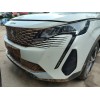 peugeot 3008 suv (mc_, mr_, mj_, m4_) del año 2021