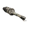 Recambio de amortiguador delantero derecho para seat leon (1m1) 1.9 tdi referencia OEM IAM 1J0413031DP  