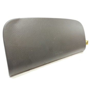 AIRBAG DELANTERO DERECHO 7391077E01 