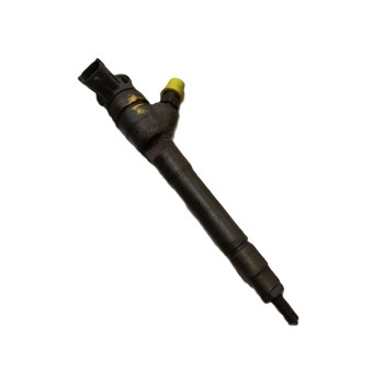 INYECTOR 1660000Q1U H8201055367 